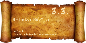 Brindza Béla névjegykártya